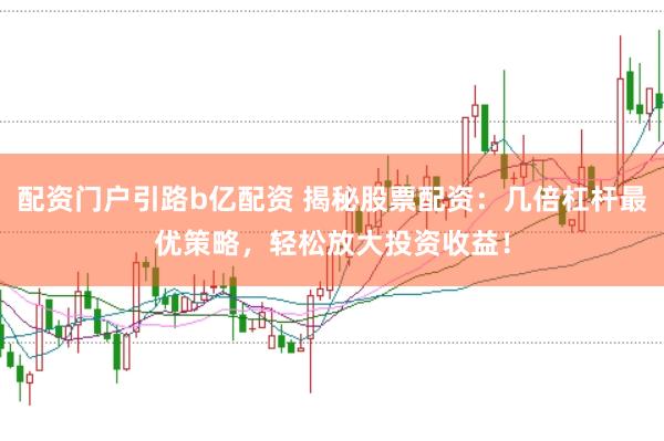 配资门户引路b亿配资 揭秘股票配资：几倍杠杆最优策略，轻松放大投资收益！