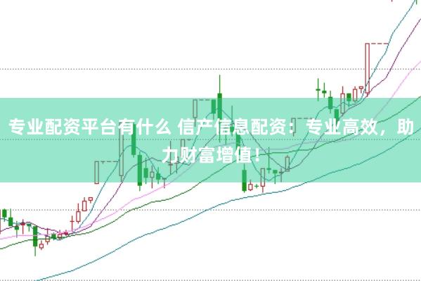 专业配资平台有什么 信产信息配资：专业高效，助力财富增值！