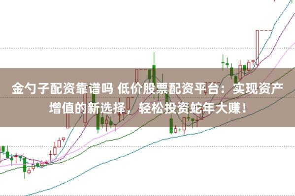 金勺子配资靠谱吗 低价股票配资平台：实现资产增值的新选择，轻松投资蛇年大赚！