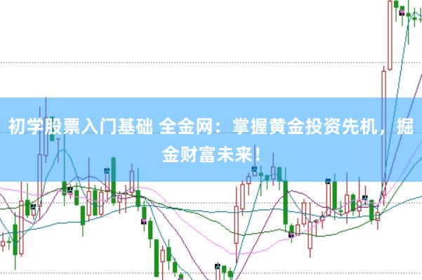 初学股票入门基础 全金网：掌握黄金投资先机，掘金财富未来！