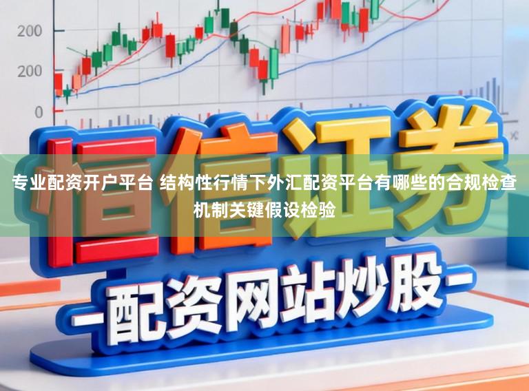 专业配资开户平台 结构性行情下外汇配资平台有哪些的合规检查机制关键假设检验