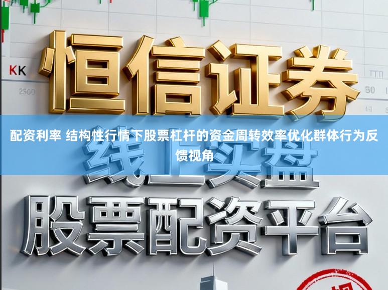 配资利率 结构性行情下股票杠杆的资金周转效率优化群体行为反馈视角