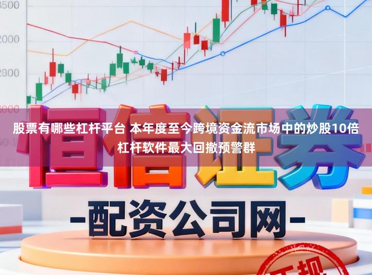 股票有哪些杠杆平台 本年度至今跨境资金流市场中的炒股10倍杠杆软件最大回撤预警群